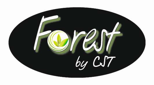 Forest schwarz 2